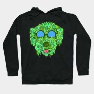 Cool Cockapoo in Greens Hoodie